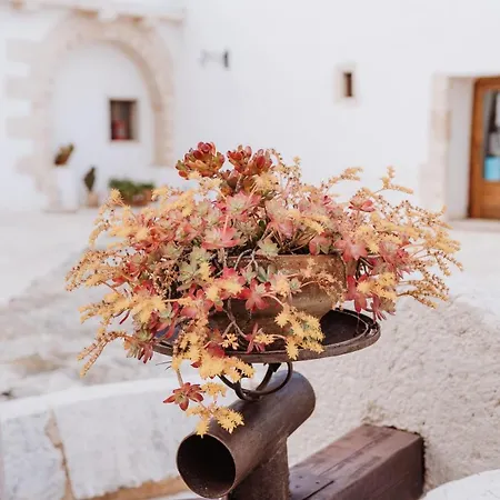 Vakantieboerderij Masseria Casamassima