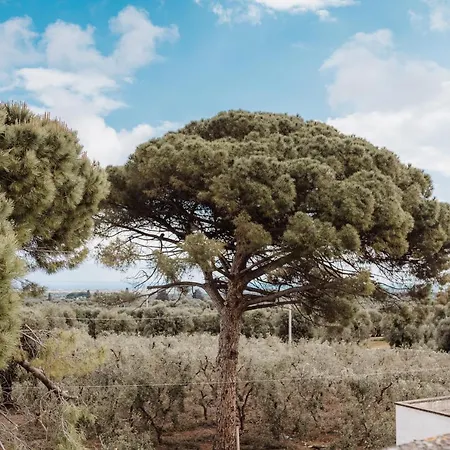 Masseria Casamassima Vakantieboerderij Ostuni