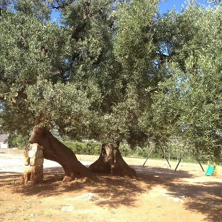 Vakantieboerderij Masseria Casamassima