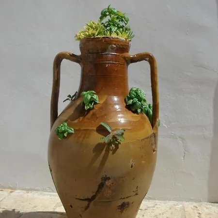 Masseria Casamassima *