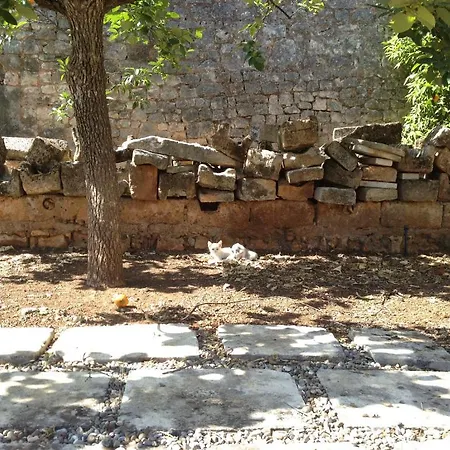 Masseria Casamassima Vakantieboerderij